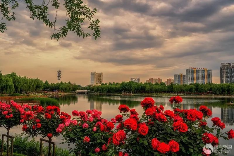 行走河南读懂中国焦作文章,行走河南读懂中国为主题的范文