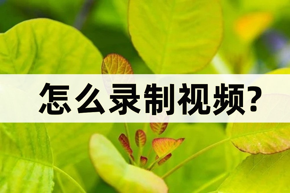 如何录制视频不用软件录制,ppt录制视频怎么一起录制声音