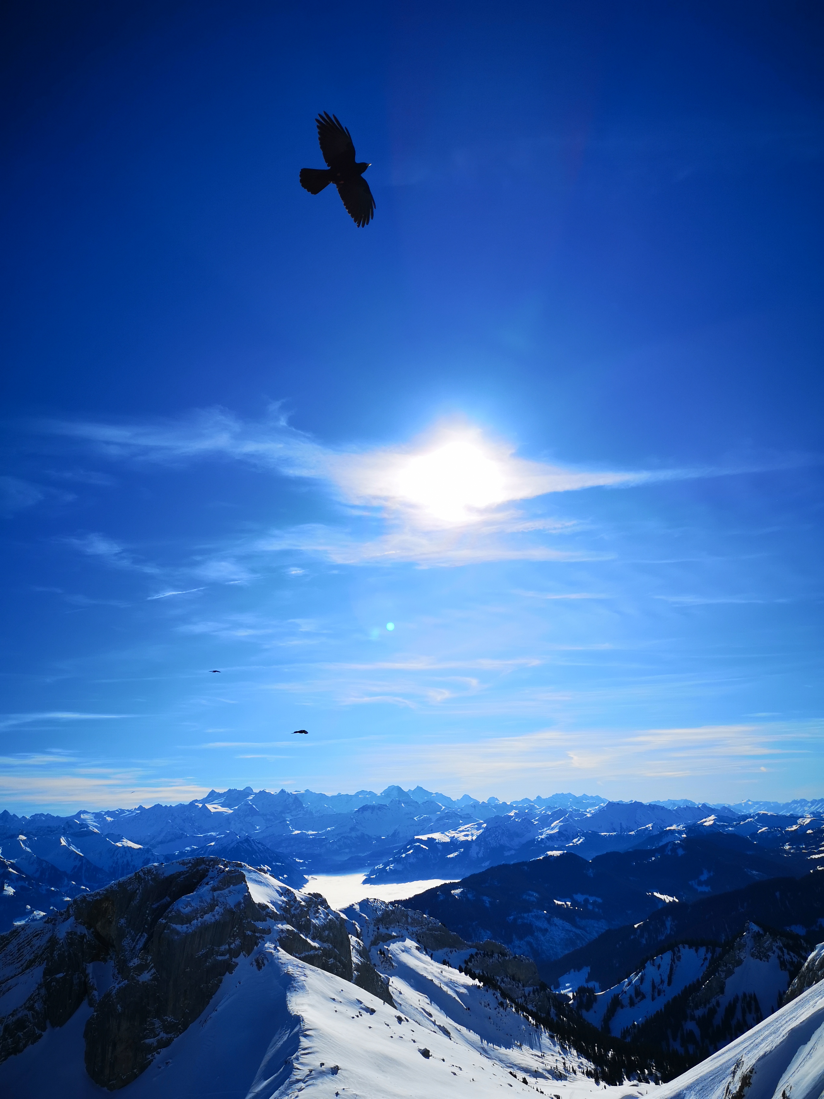 瑞士雪山上的星空,雪山上的惬意生活