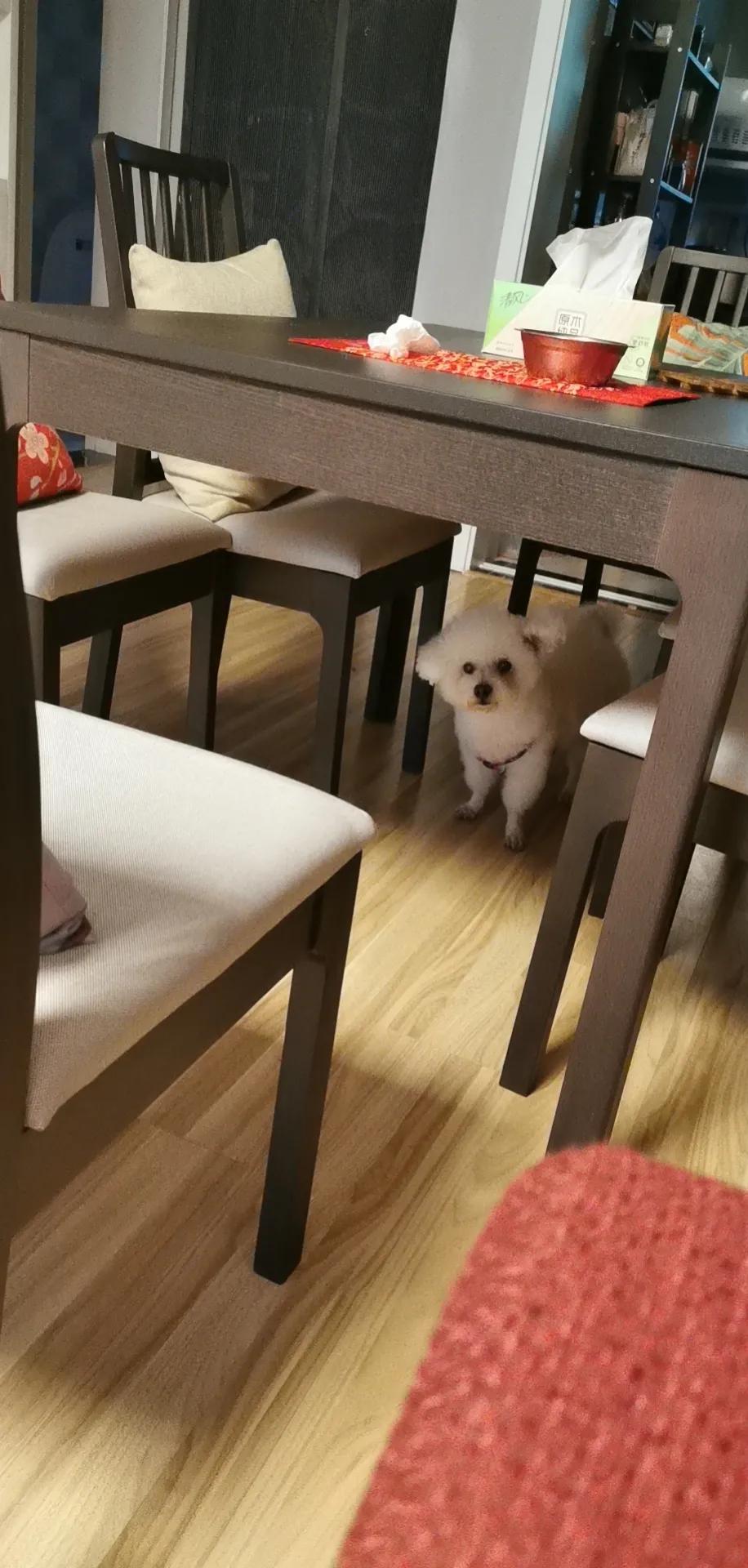 小乙和小乙的日常生活,小乙的平凡生活