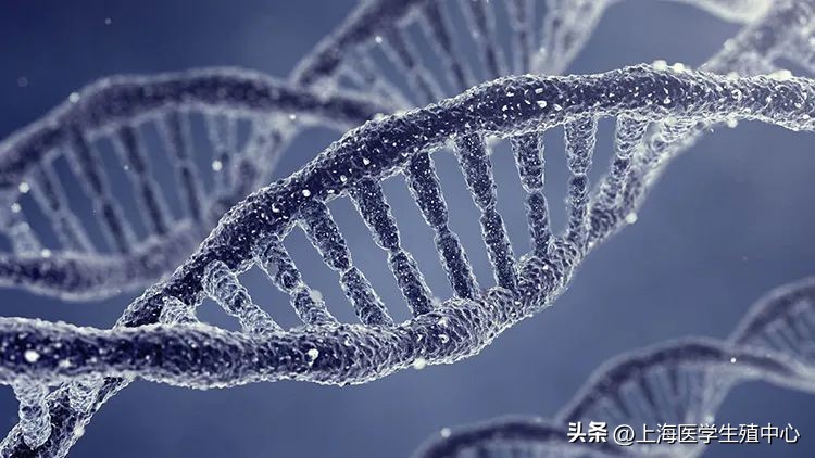 糖尿病试管婴儿流程步骤,糖尿病患者想要试管婴儿