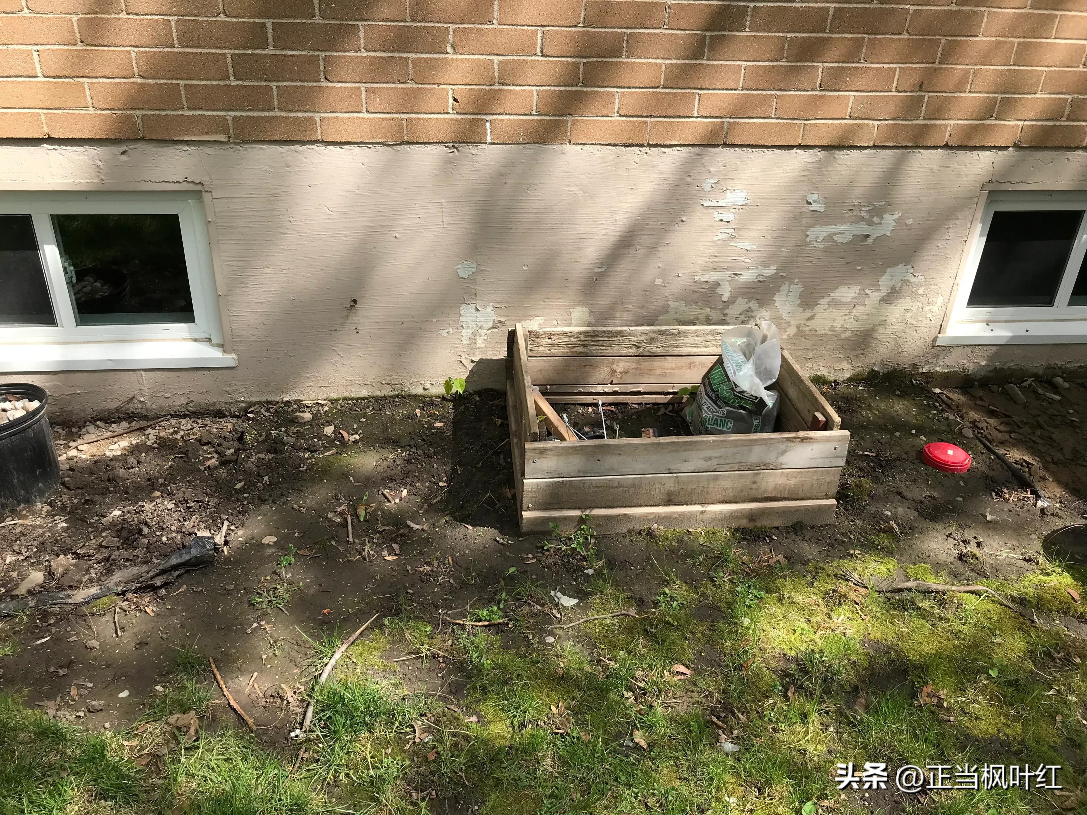 中国姥姥生活视频,中国姥姥在澳洲