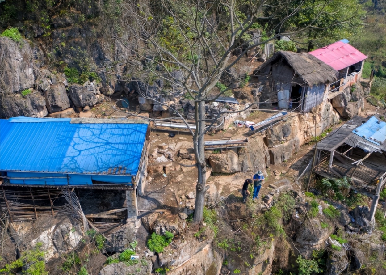 贵州一户人在悬崖上养羊,贵州蜗居13年在山上养羊
