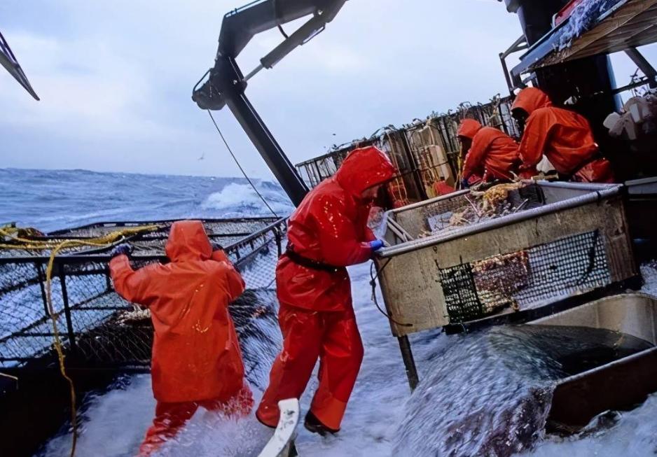 帝王蟹在挪威泛滥成灾,帝王蟹为什么在挪威泛滥