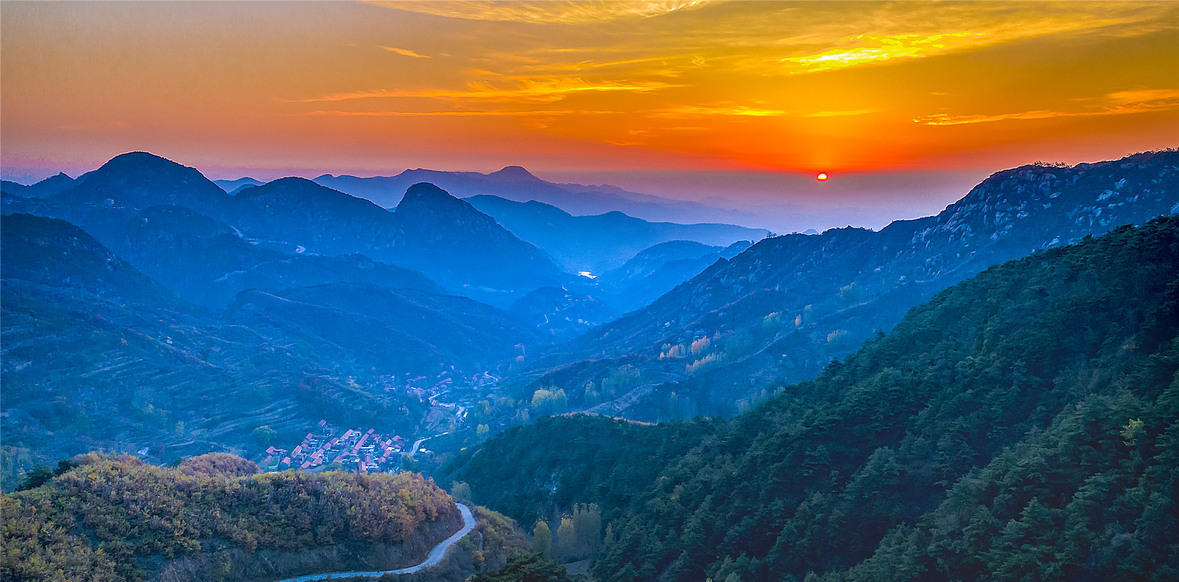 入秋济南好去处,济南秋季看花打卡地