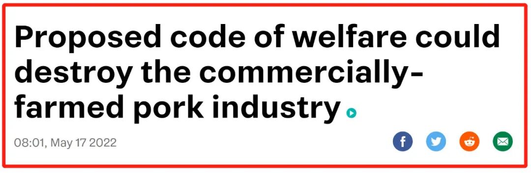 新西兰鸡蛋紧缺之后，猪肉也危险了！兔年邮票开始发售