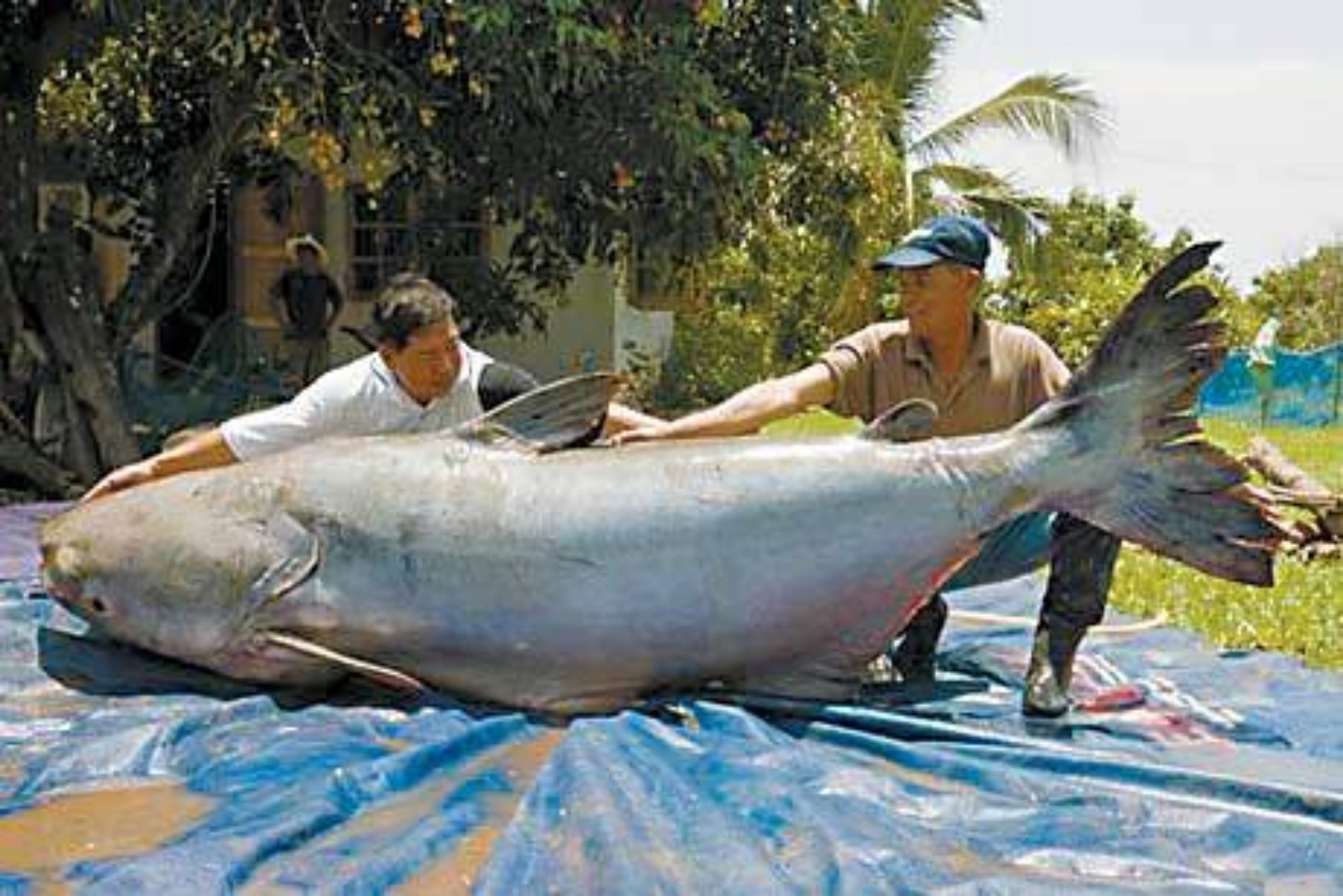 意大利男子出海钓鱼,意大利男子钓起湖中巨怪