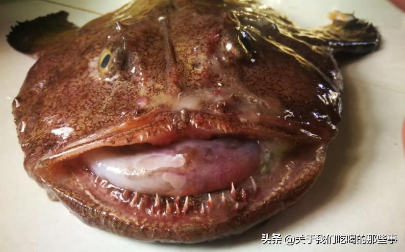 买鱼时这三种鱼不要买,买鱼要买什么品种