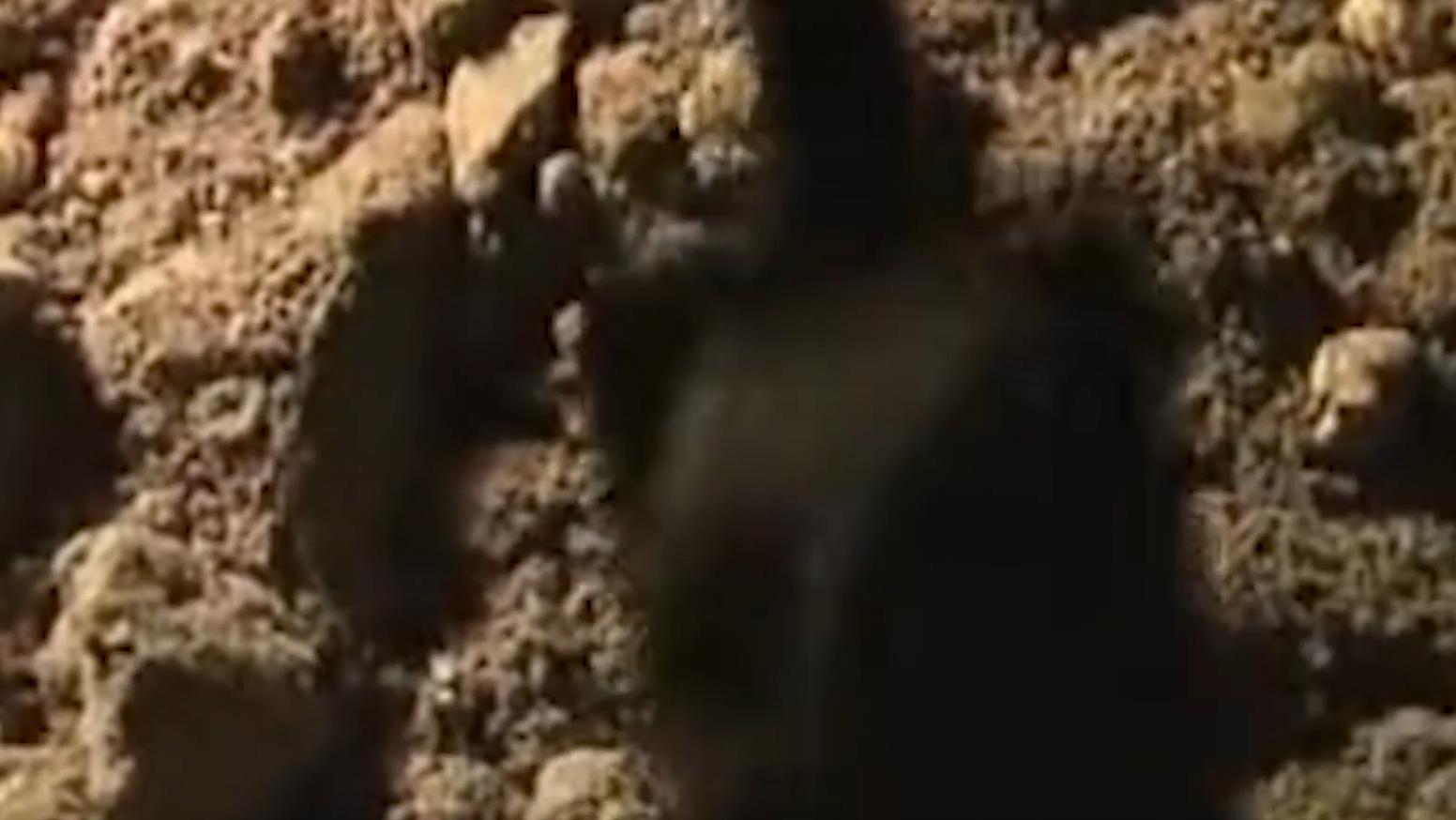 六旬老人晕倒医生急救援,八旬医生抢救老人