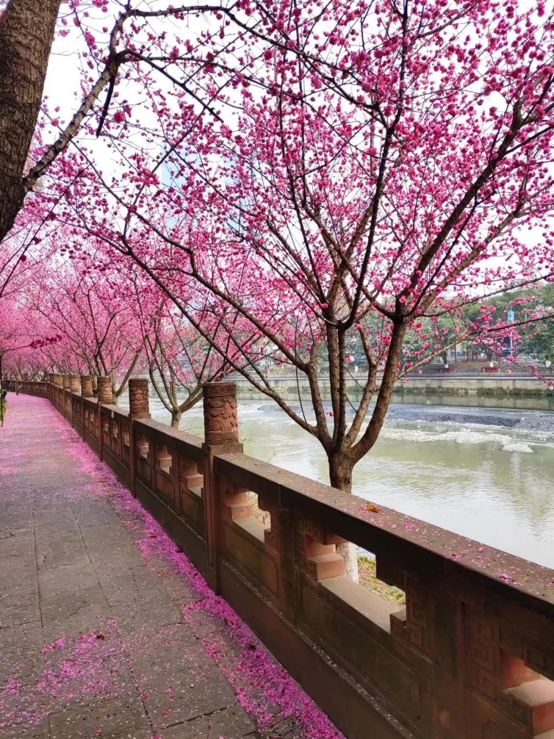 2月，终于可以尽情生活