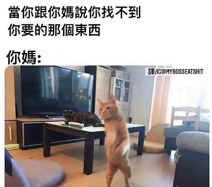 “曝光朋友圈代购聊天记录！！”哈哈哈哈哈哈这是什么社死现场啊