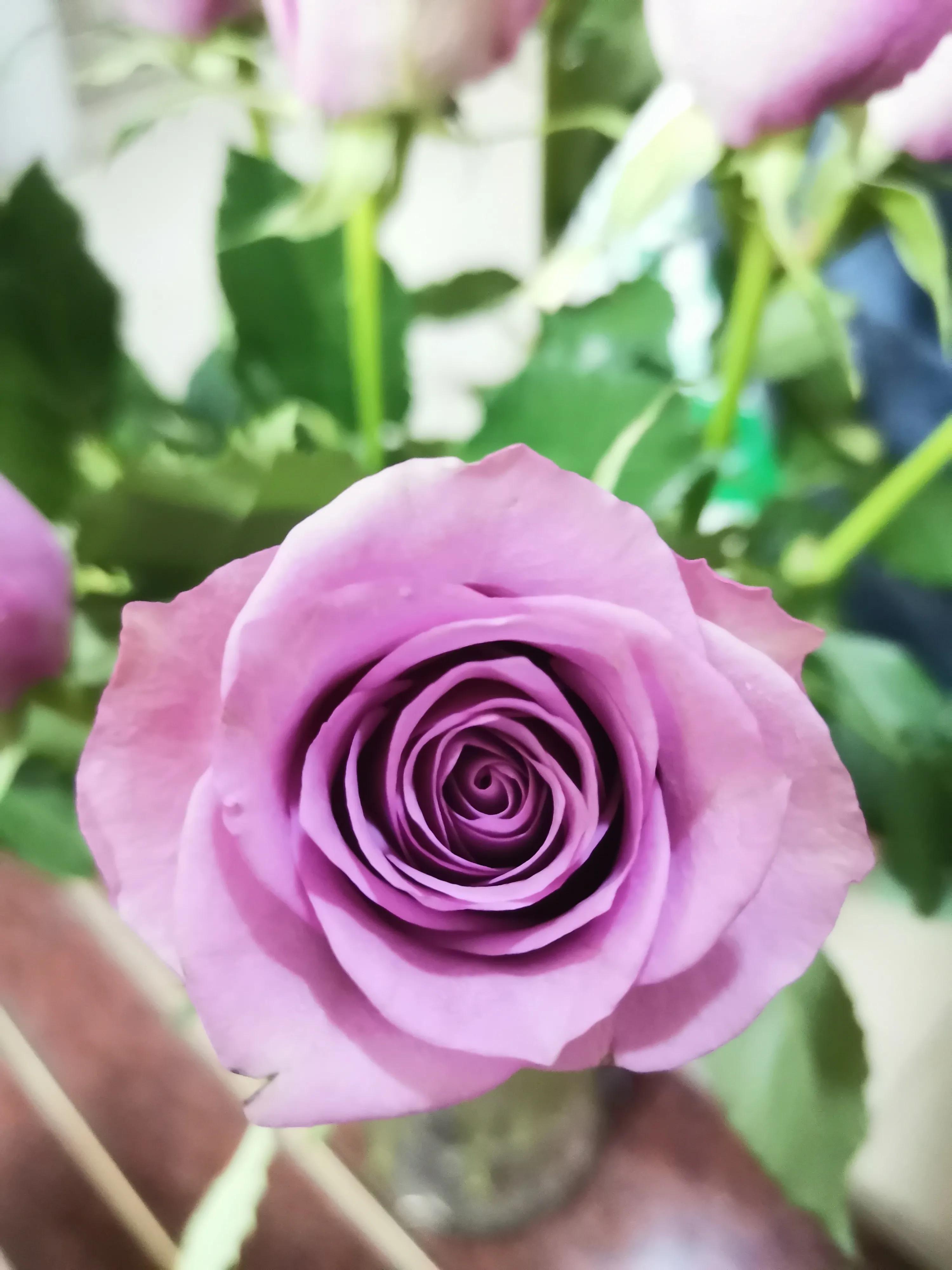 当一天和尚撞一天钟打一成语,形容一天难熬的成语