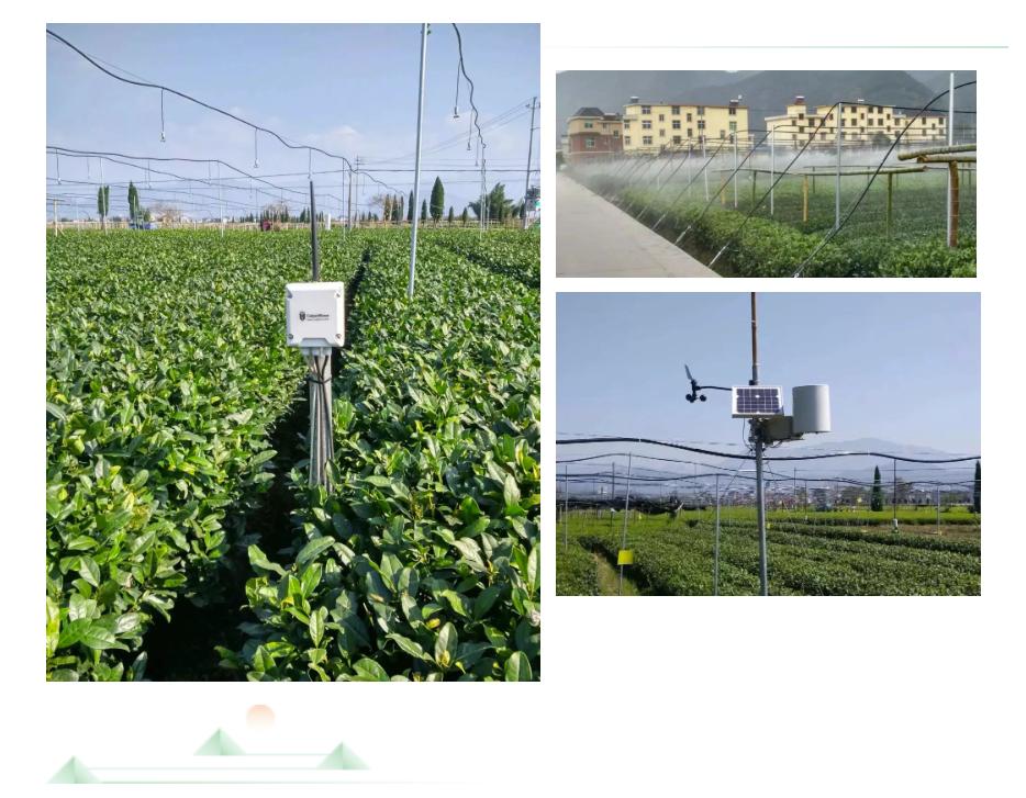 智慧农业科技引领三农,智慧农业科技助力农产品丰收