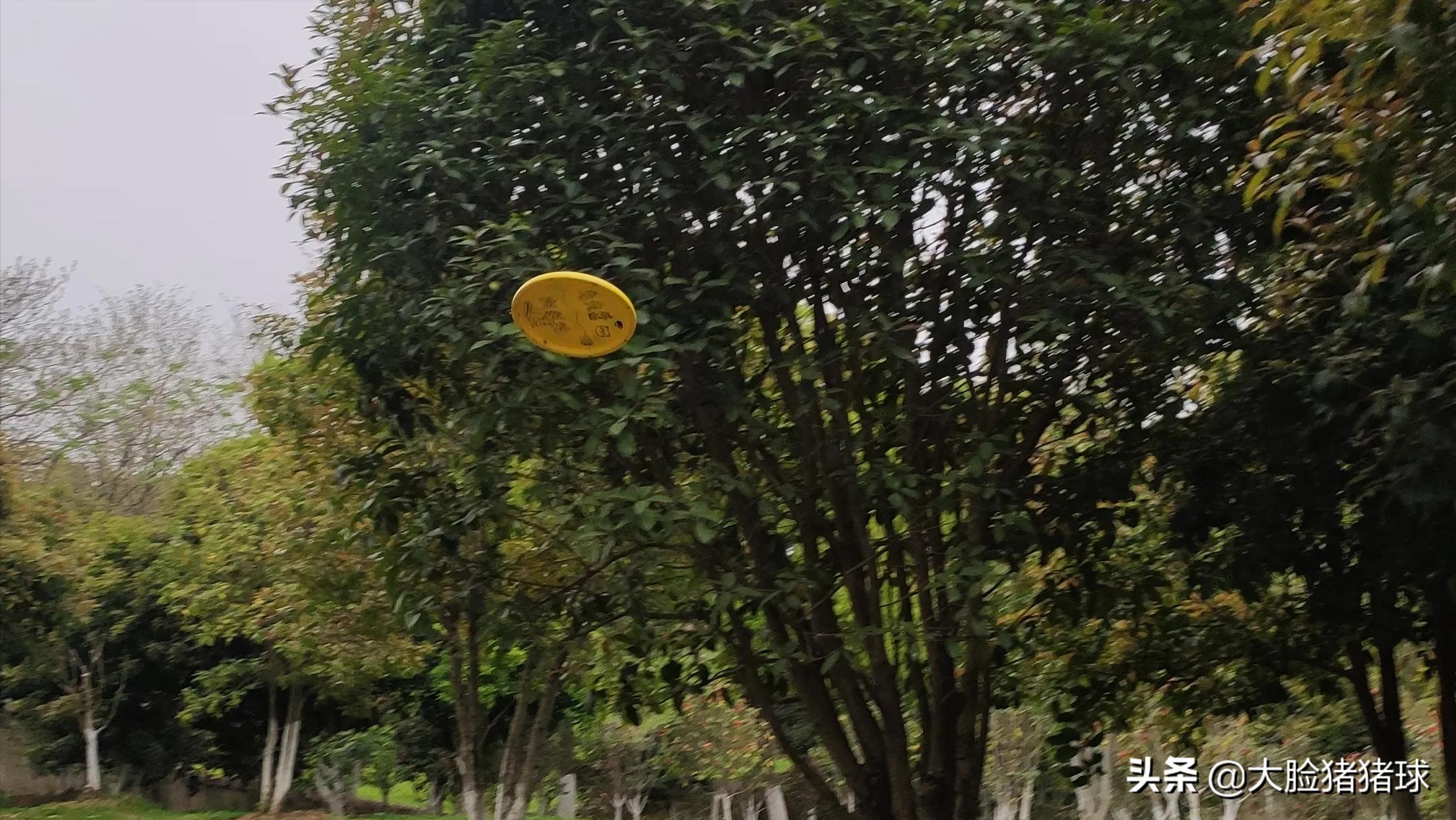 带小朋友户外烧烤，新手入门看这篇就够了（我的第一次烧烤之旅）