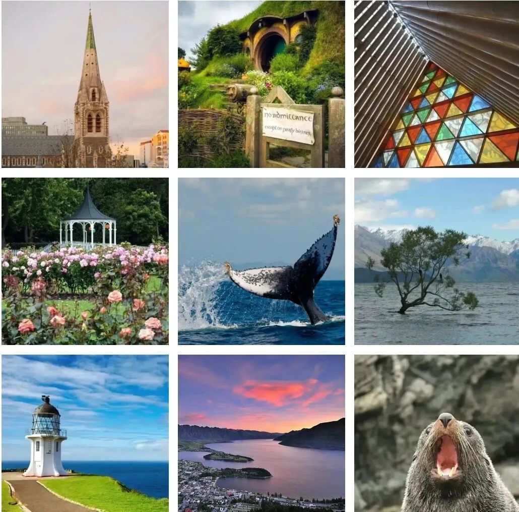 合作大学｜助你跃入南半球的“哈佛”—新西兰怀卡托大学