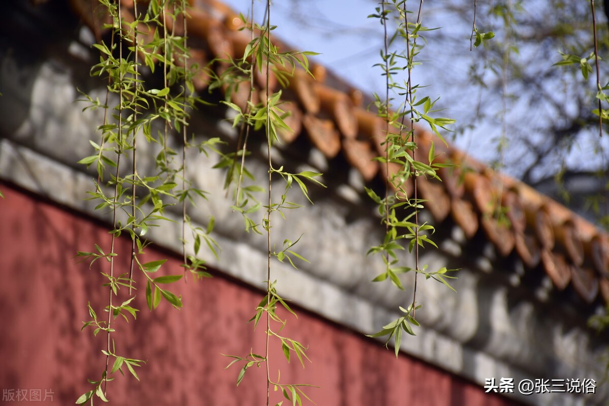 清明前三后四忌讳什么,上坟前三后后四包括清明这天吗