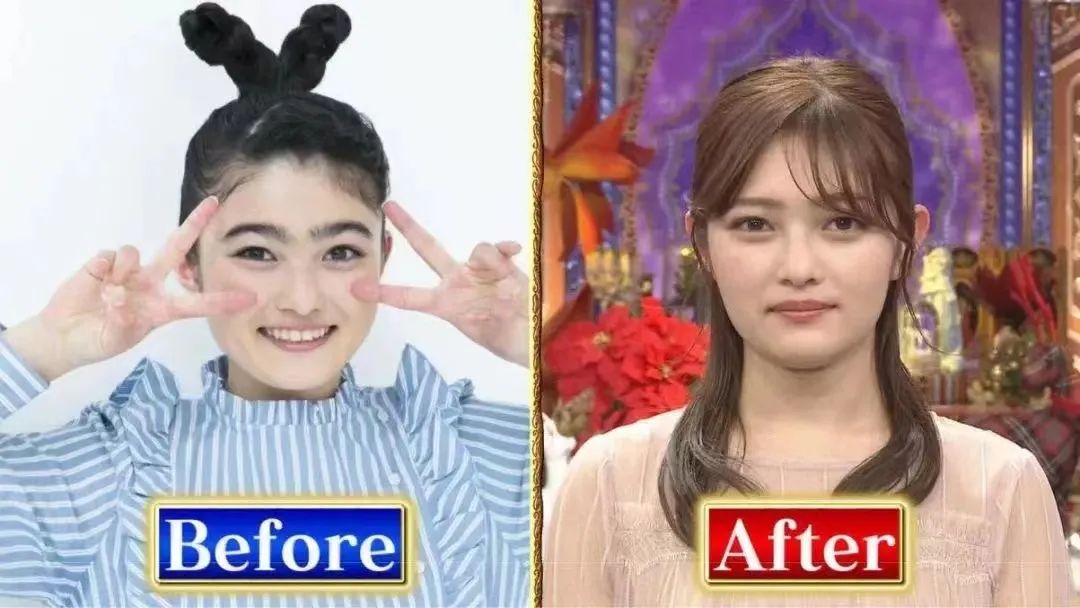 独角仙鹿角虫,鹿角虫和独角仙有什么区别