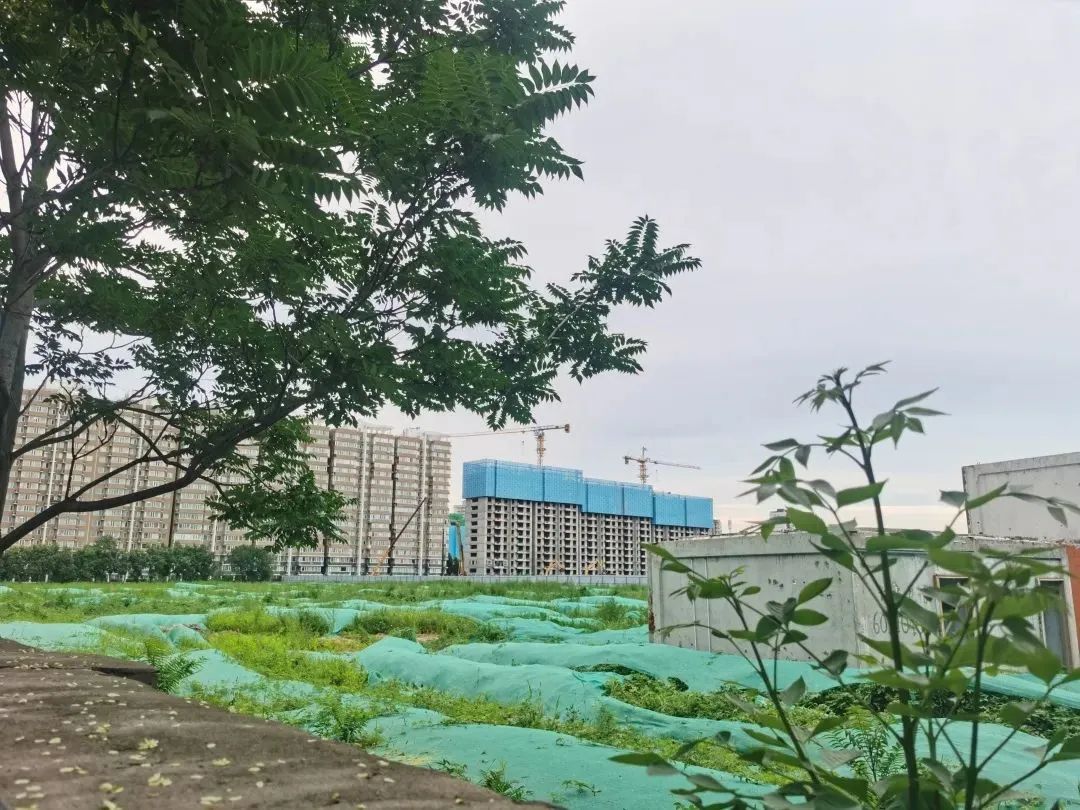 龙樾天元10月的房价,四环龙樾天元推一口价房源