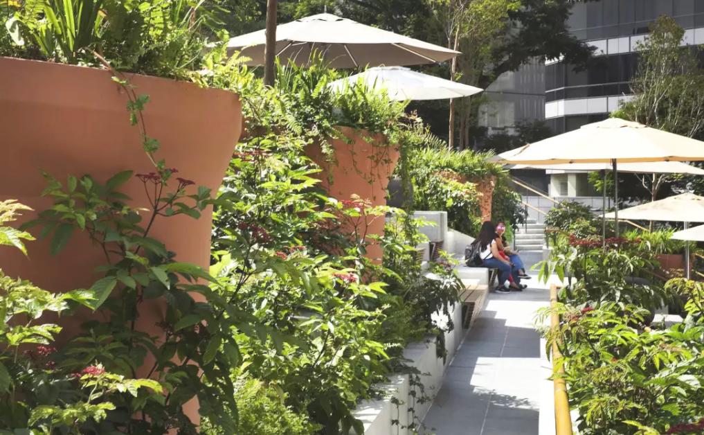 公园商业中心设计,公园创意商业街区空间设计