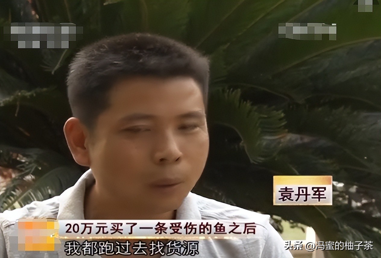 男子花13万买的鱼因停电缺氧死亡,男子花20万买一条受伤鲶鱼后续