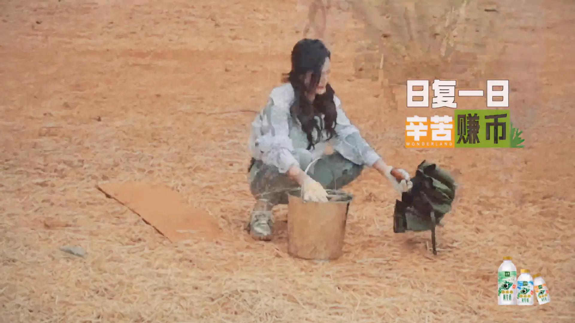 孟子义桃花坞捡羊粪是哪一期,敖瑞鹏桃花坞铲羊粪