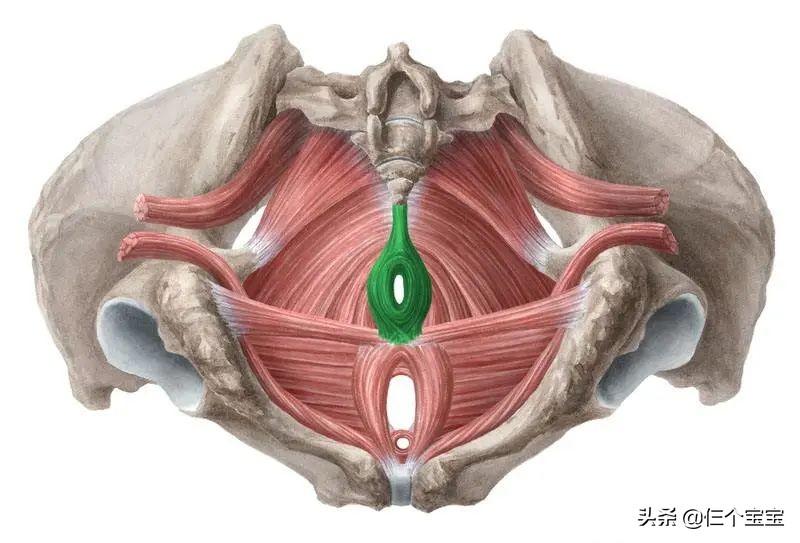 乳房下垂、产后漏尿、小肚腩，这些产后问题千万别不当回事
