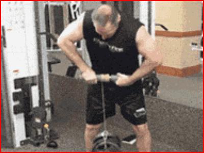 打篮球必练的提升上肢力量的训练,女性上肢力量训练100个动作