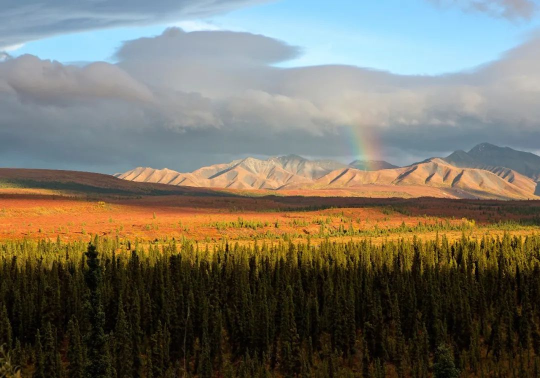 如此广袤纯粹，它上榜「BestinTravel2023​」当之无愧！