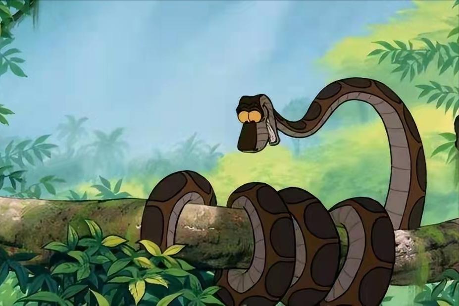 40多斤巨蟒被困深井数月,25斤巨蟒闯入居民家中现场曝光