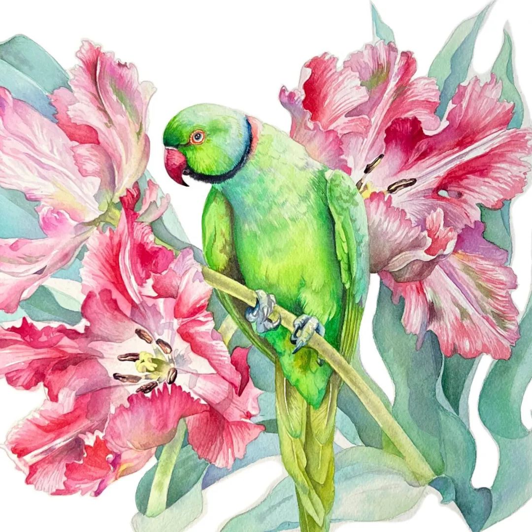 用色大胆的水彩作品,大神级水彩作品看完肯定不后悔