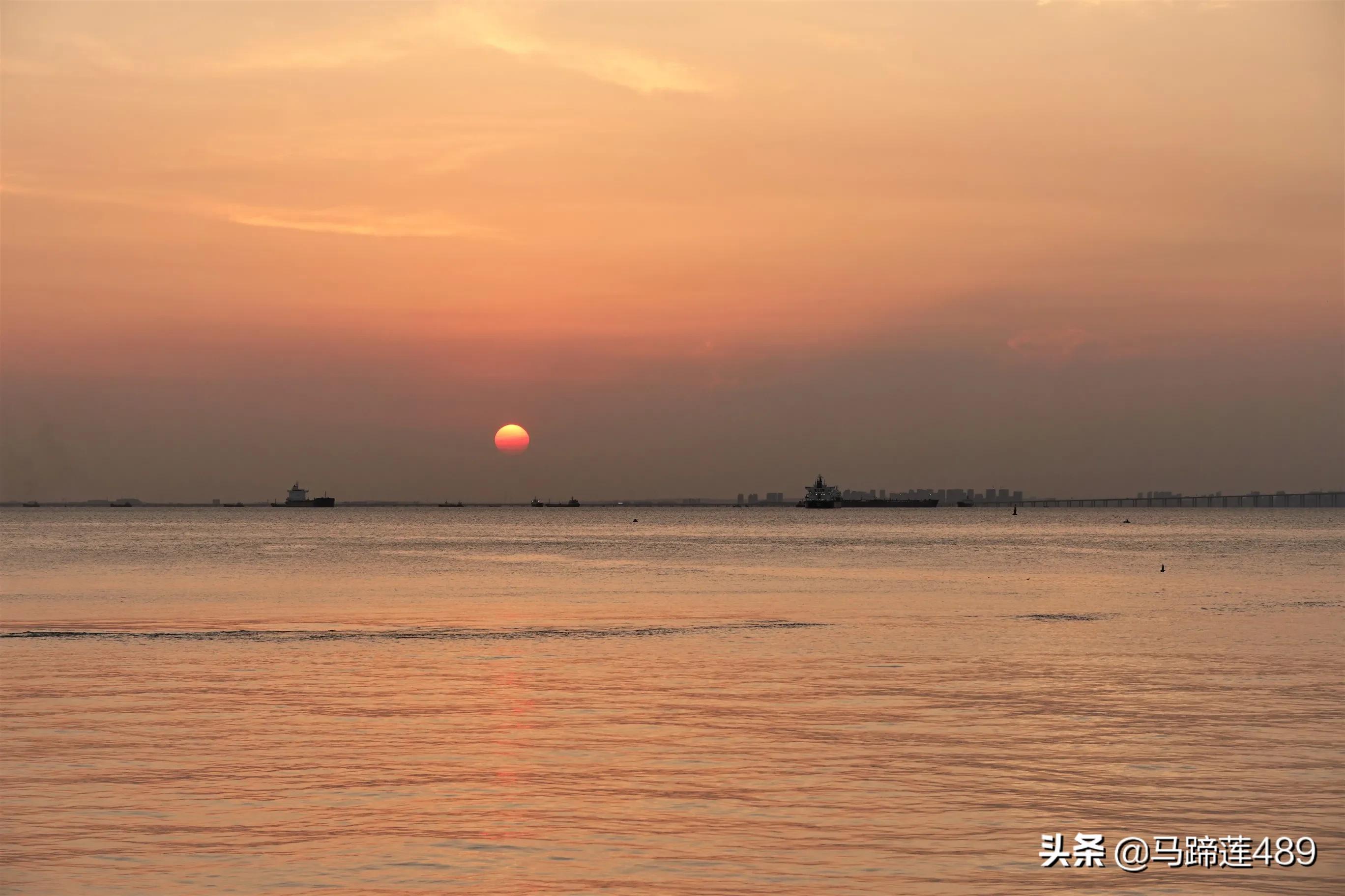 青岛金茂湾,青岛金茂湾地址