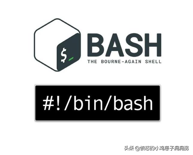 linuxshell命令,shell脚本实操100例