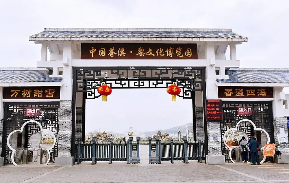 五一广元周边一日游,广元旅游3-4天攻略最佳线路