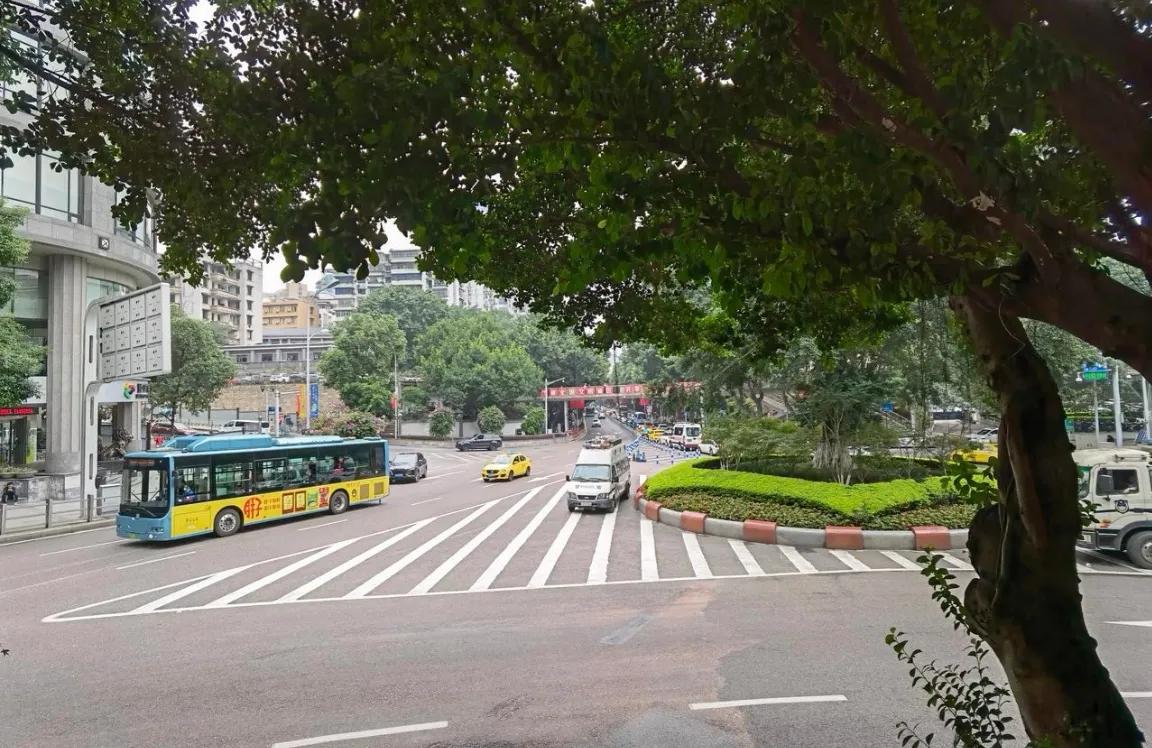 春游开拓眼界,春游樱花广场图片