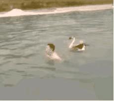 跟女网友奔现后感觉被骗了,被女网友骗了钱怎么办