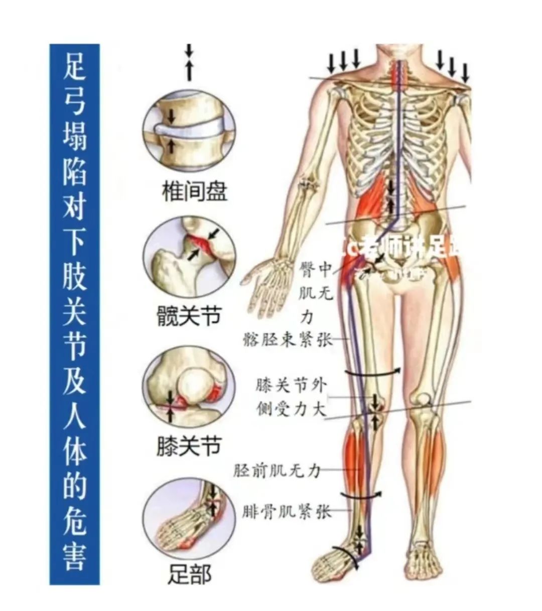 为什么男生的腿都要比女生细,为什么男生都喜欢腿细的女生
