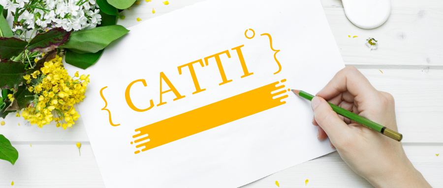 全国翻译资格考试(CATTI)——英译汉选词用词解析