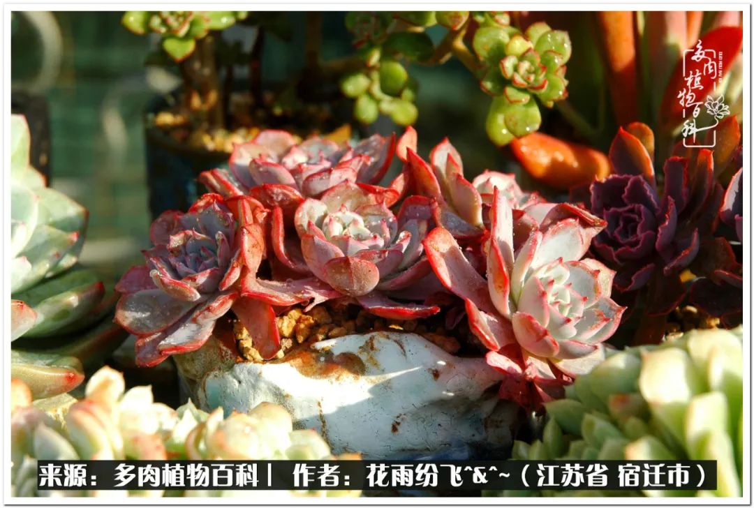 快乐的童年时光视频,回味快乐的童年美好的时光