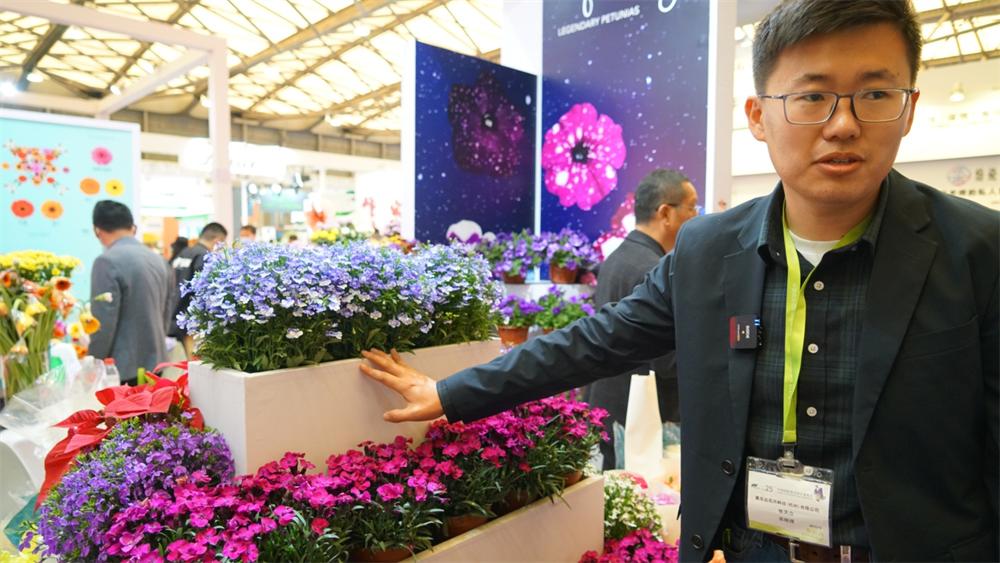 第26届中国国际花卉园艺展览会,人如潮花如海绿如茵还能组什么词