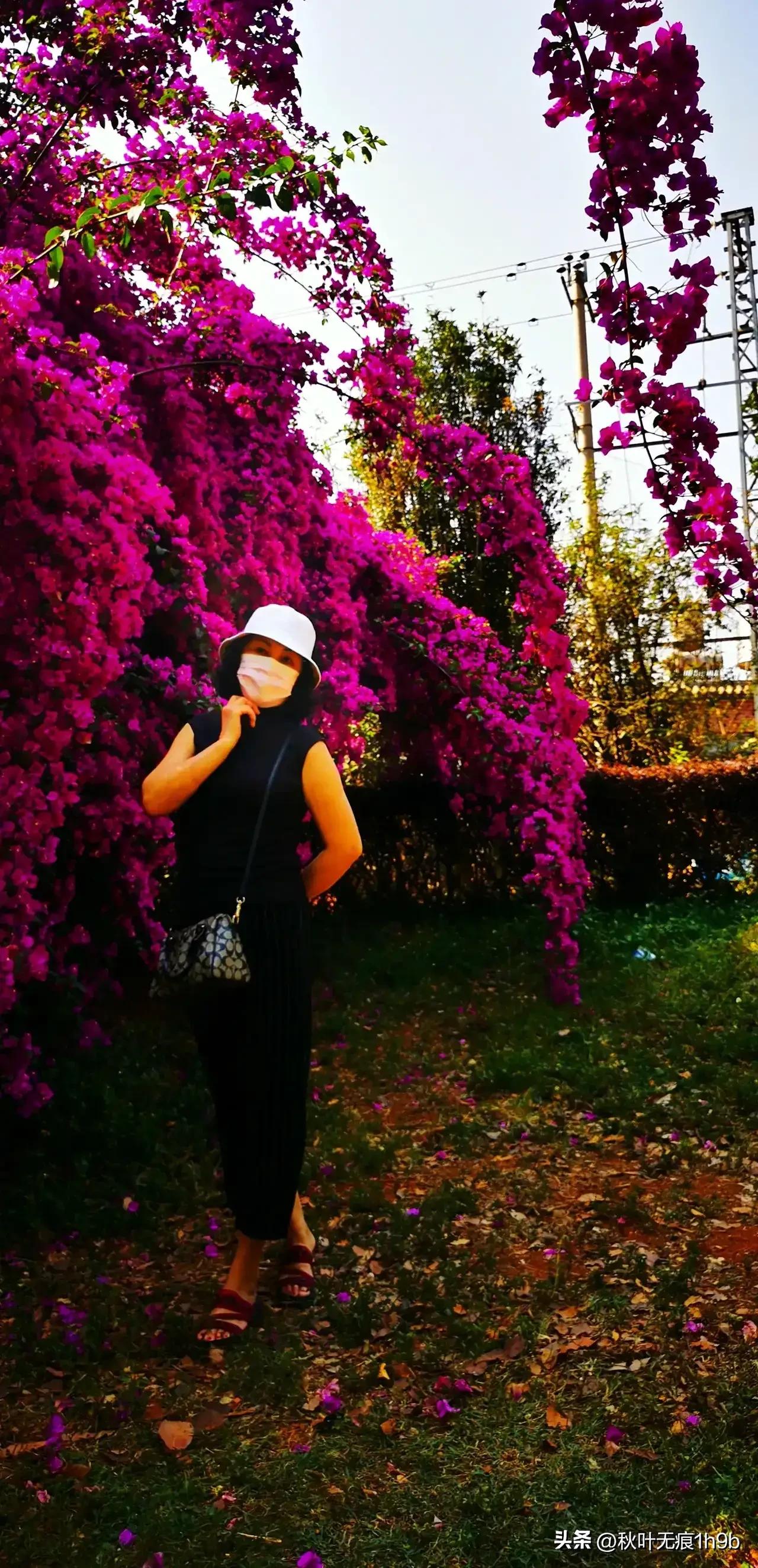 55天云南的孤独之旅,60岁老人拍55天云南的孤独旅行