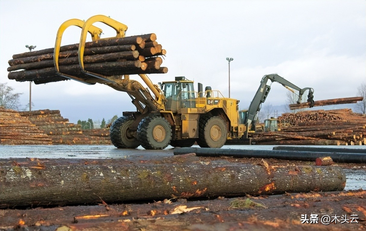 韩国进口粮食总量,韩国木材外贸订单