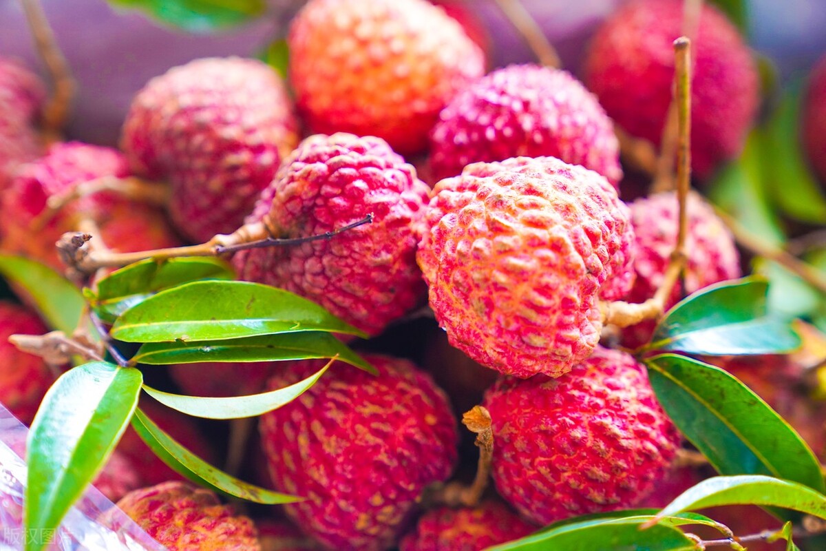 公务员海南自由贸易港补贴多少钱,自由贸易试验区公务员待遇