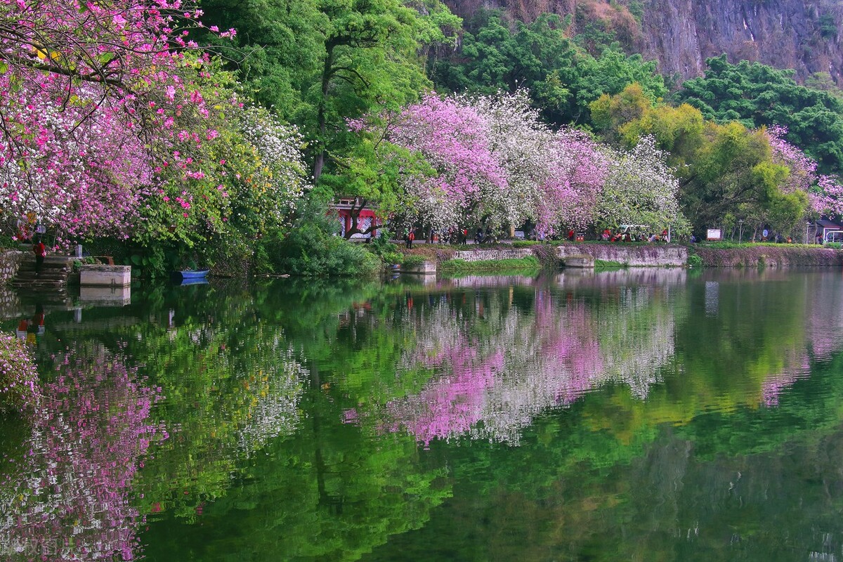 如何利用农村自建房屋开办民宿,农房改造民宿大全