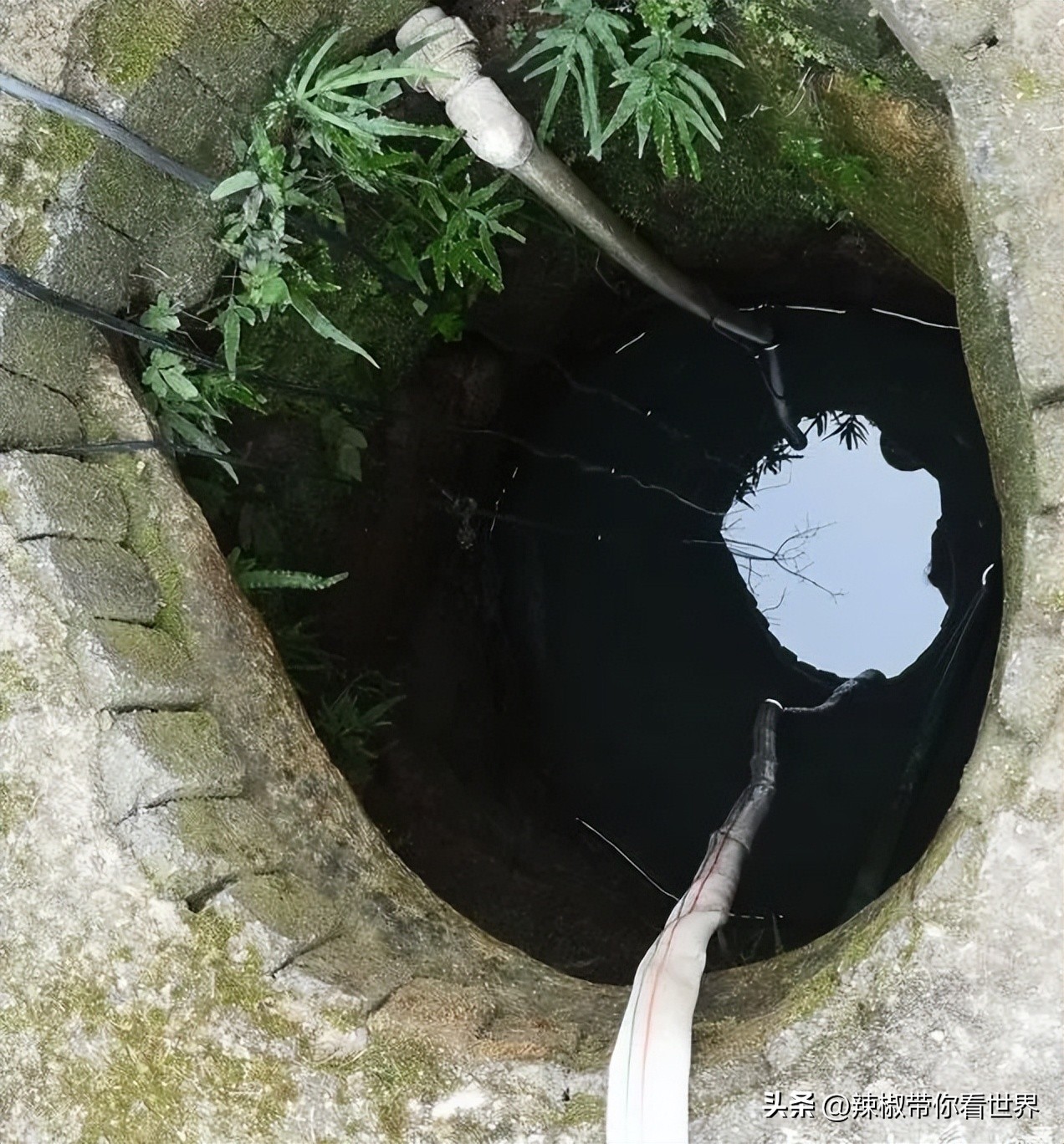 驻马店市文化旅游区,河南省驻马店市人文旅游