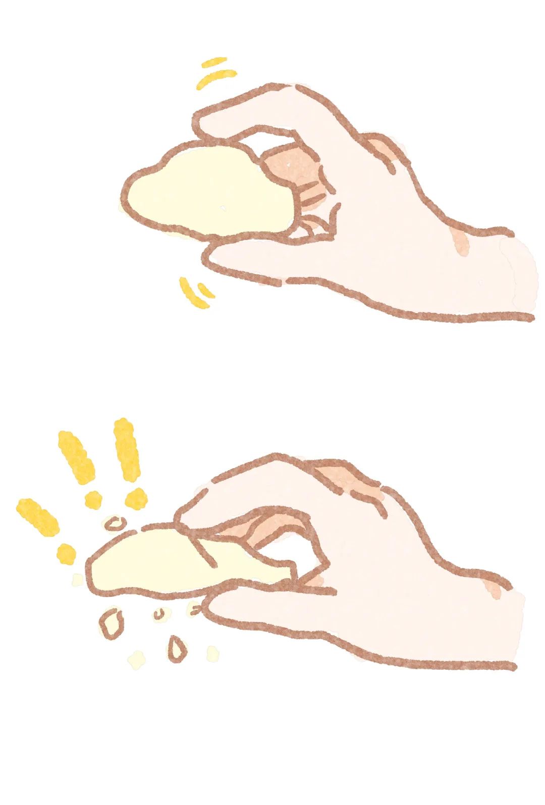 养猫卖宠物用品变现,养猫注意事项和骗局