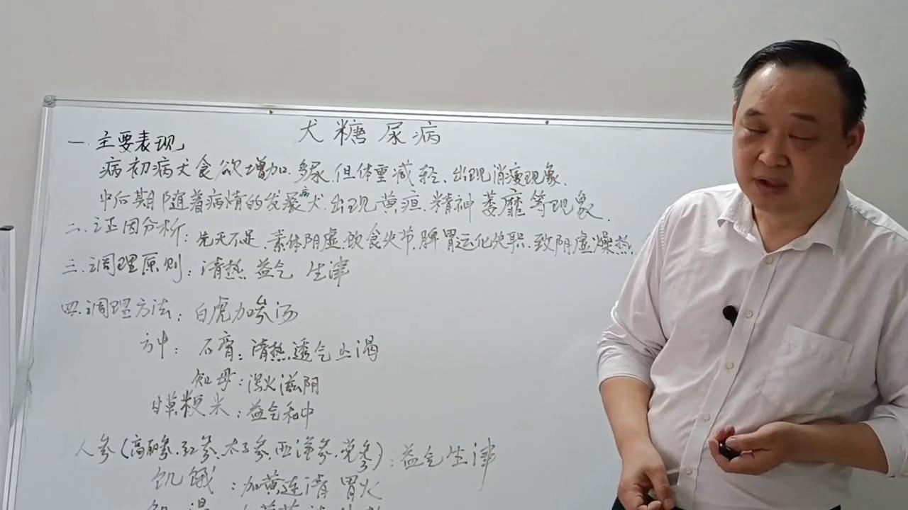 犬病哪里治,犬病的治疗方法