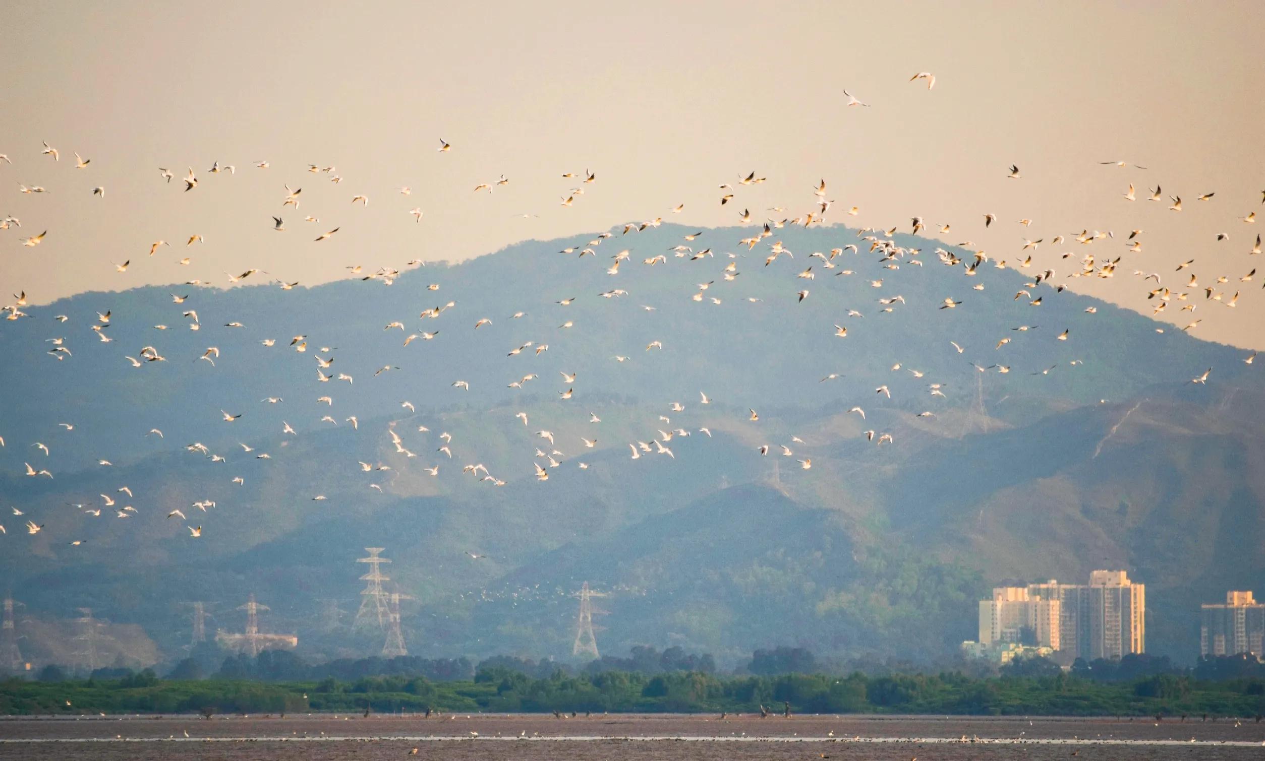 和大自然一起去旅行,和地理老师一起去旅行