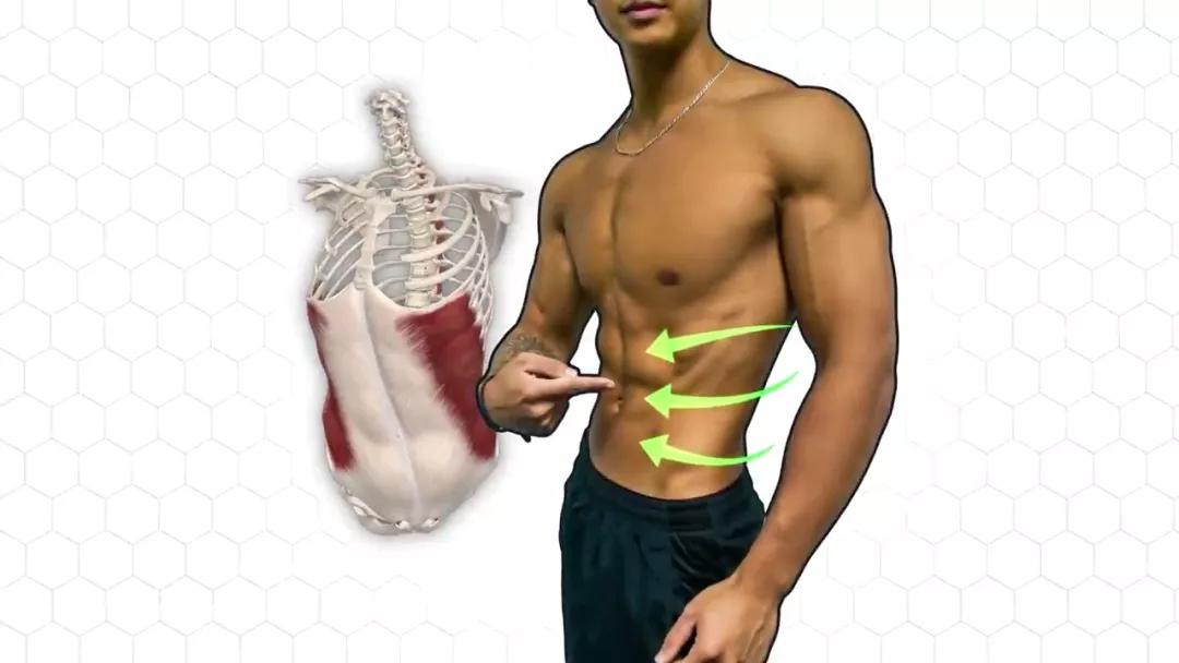 虐腹运动瘦肚子马甲线日本方法,沉浸式虐腹八分钟腹肌马甲线