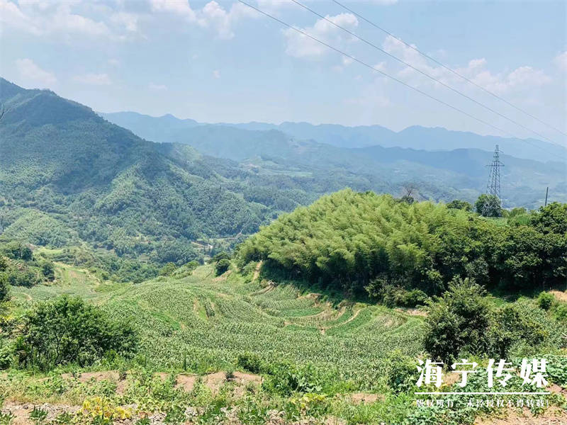 “山里好货,想吃!”武义高山玉米西瓜今天直通海宁