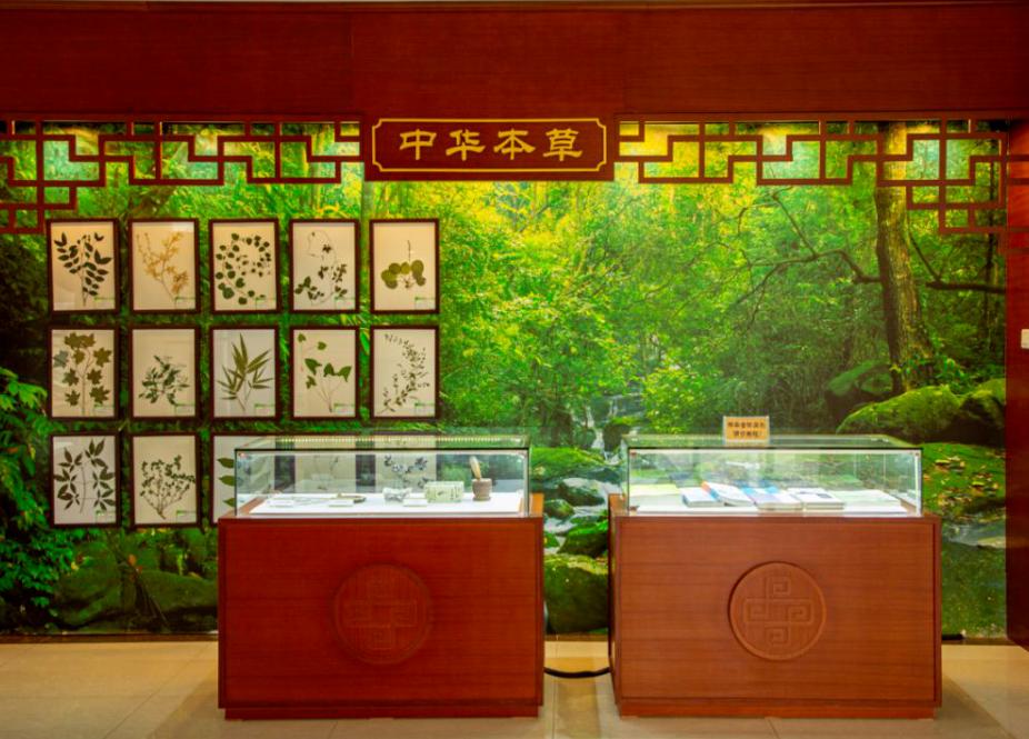 走近中医在线阅读,中医治甲状腺功能减退